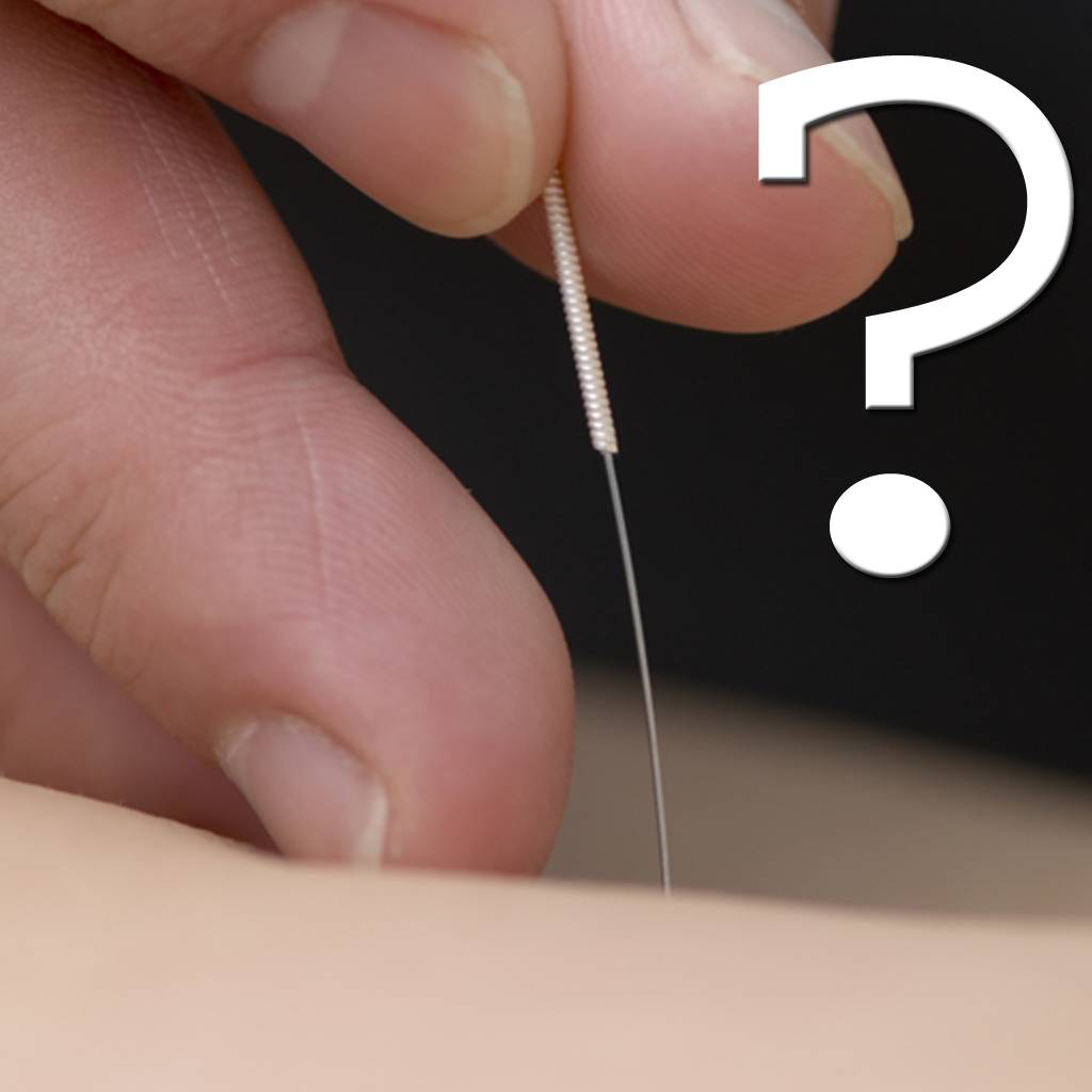 Acupuncture Points Quiz App Icon