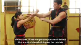 wing chun techniques iphone resimleri 3