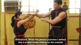 Game screenshot Wing Chun Techniques hack