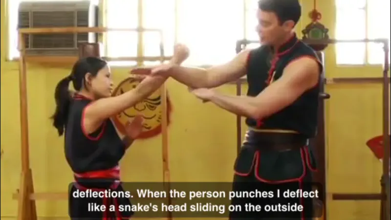 Wing Chun Techniques screenshot 3 of 5