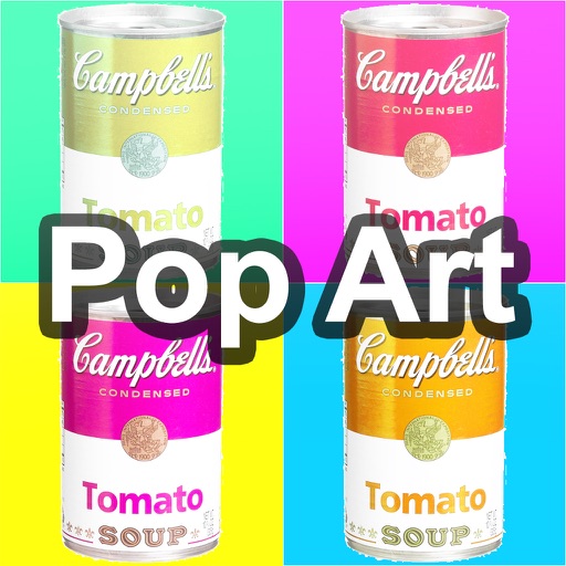 Fotocam Pop Art icon