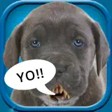 Make My Pet Talk - App-Symbol