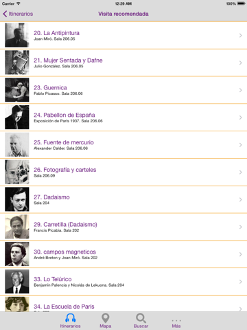 Screenshot #6 pour Museo Reina Sofia - Madrid