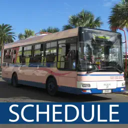 Bermuda Bus Schedule app icon