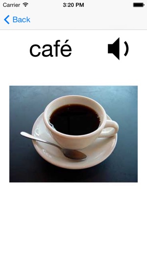 Basic French Vocabulary + Words for Beginners(圖3)-速報App
