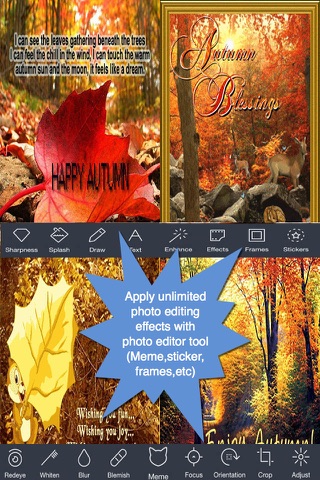 Happy Autumn Greeting Cards screenshot 3