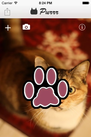 Purrr screenshot 2