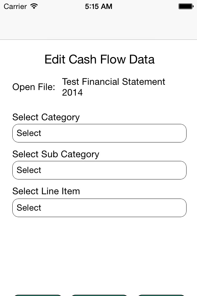 Financial Statement screenshot 3