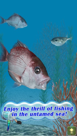 Reel Fishing Pocket 2 : Ocean(圖1)-速報App