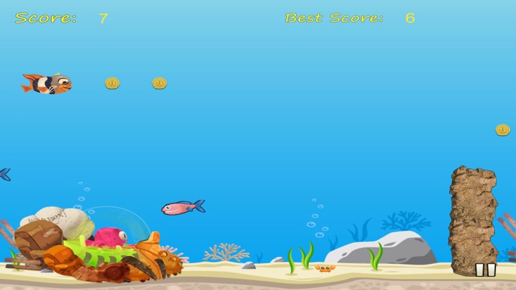 A Fish in the Sea: An Underwater Splashing Adventure