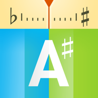 insTuner - 带参考音的专业调音器