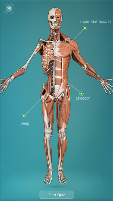 Screenshot #1 pour Anatomy Quiz - muscles and bones