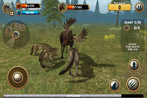 Wild Wolf Simulator 3D screenshot 4