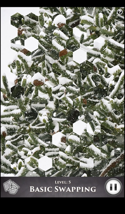 Hidden Scenes - Winter Frost