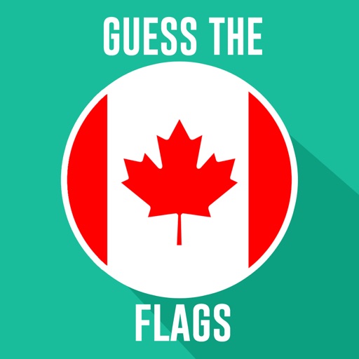 Flag Logo Quiz Game Icon