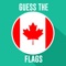 Flag Logo Quiz Game