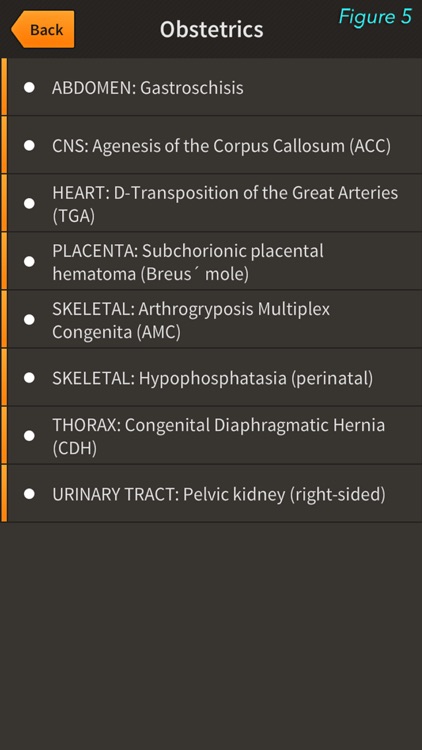 You-Scan screenshot-4