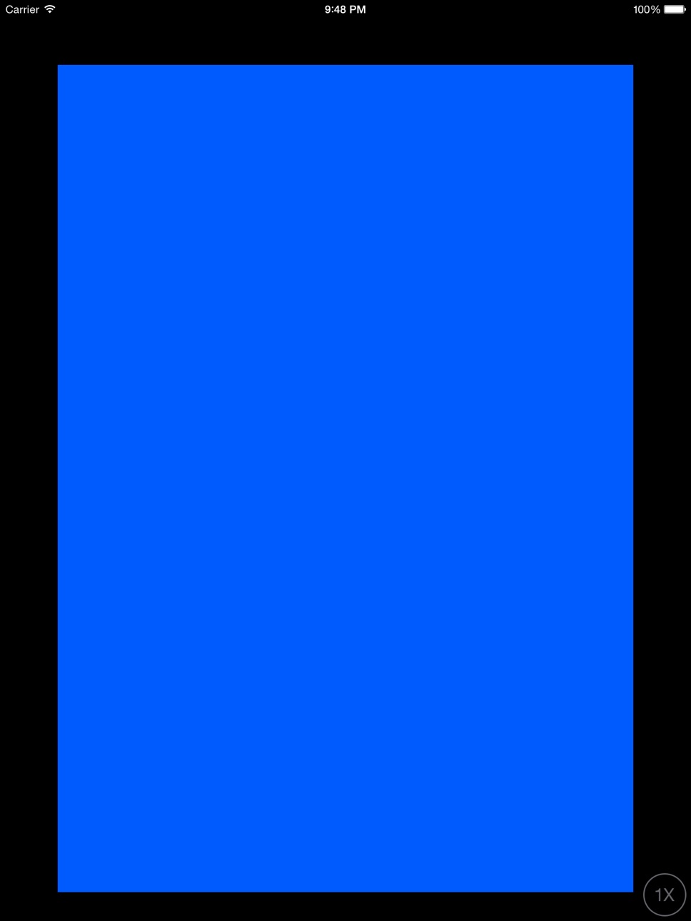 iPad screenshot
