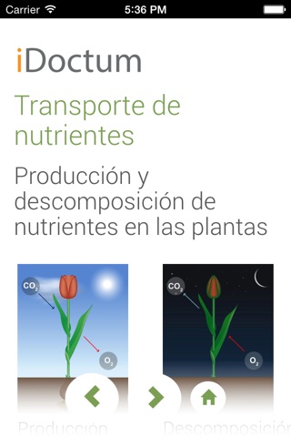 Biología - Plantas 2 screenshot 2