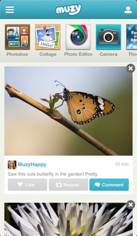 Muzy: Photo Editors, Collages, and moreのおすすめ画像2