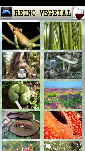 Curiosidades del mundo(圖3)-速報App