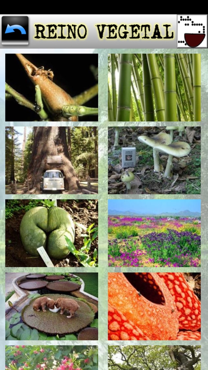 Curiosidades del mundo