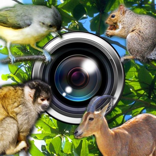 Observation Camera (silent) icon