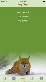 Fuchs Jagd screenshot