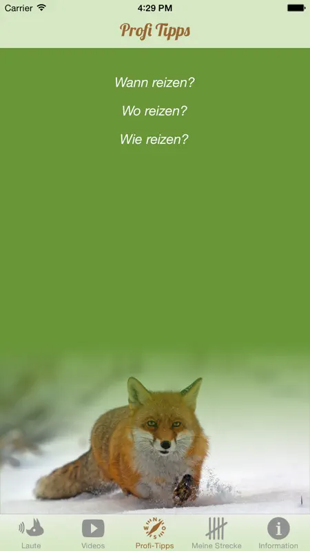 Fuchs Jagd screenshot 4 of 5