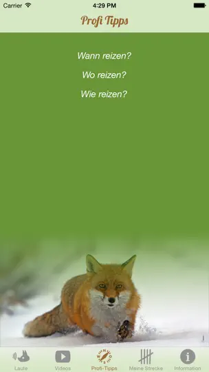 Screenshot von Fuchs Jagd auf dem iPhone 4