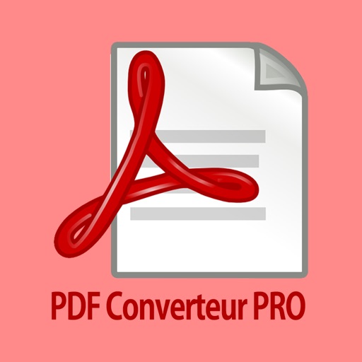 Converteur PRO