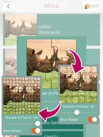 Animal Puzzle Game HD iPad screenshot