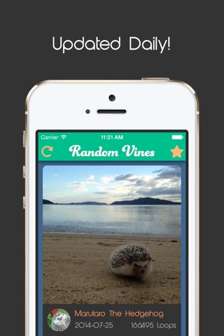 Random Vines - Play and Download Top Popular Videos and Short Clips screenshot 4