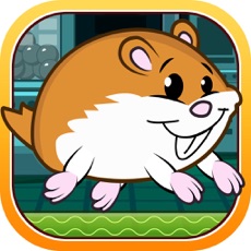 Activities of Hammy the Super Pet Hamster Runner