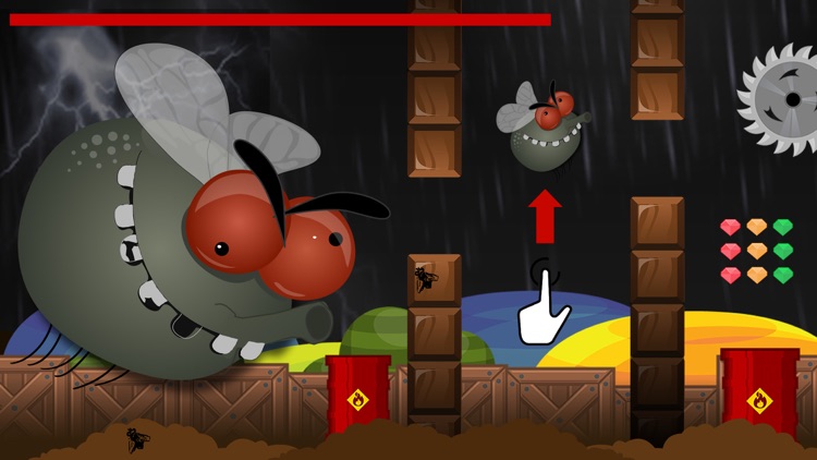 Nasty Fly 2 – The Impossible Challenge 2015