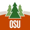 Alternative Forest Management in Oregon
