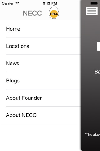 NECC. screenshot 3