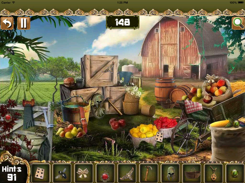 Farm Adventure Hidden objects
