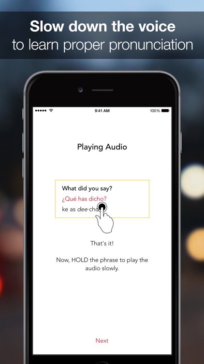 SpeakEasy Spanish ~ Offline Phrasebook and Flashcards with Native Speaker Voice and Phonetics screenshot-3