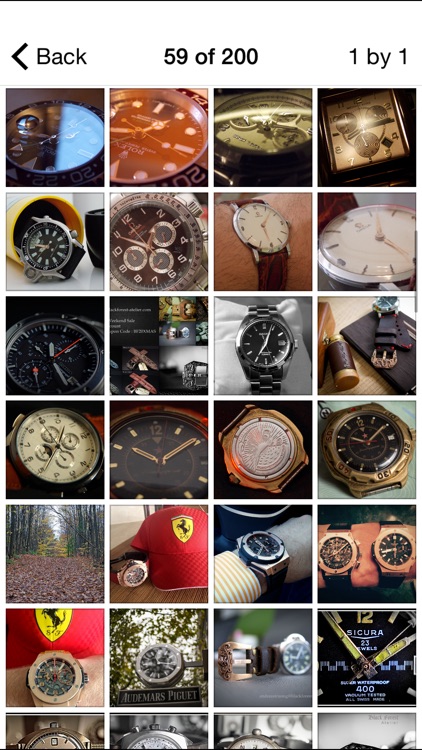 Watch Collectors Club