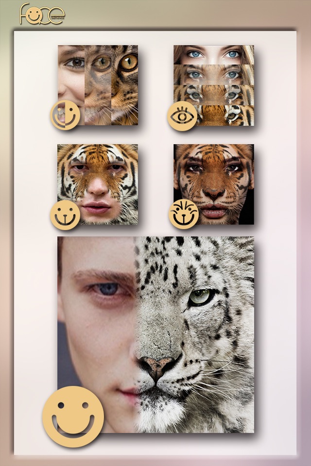 InstaFace:face eyes blend morph with animal effect screenshot 4