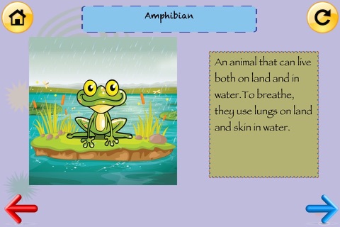 1st Grade Science Glossary #2: Learn and Practice Worksheets for home use and in school classrooms screenshot 4