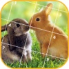 Jigsaw Puzzle - Animals