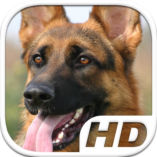 German Shepherd Simulator HD Animal Life icon