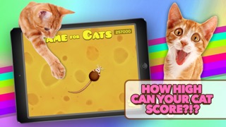 Game for Catsのおすすめ画像4
