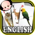 Baby Animals  Birds English ABC Alphabets Flash Cards for preschool kindergarten boys  girls apps