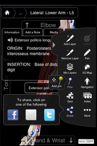 Muscle System Pro III - iPhone screenshot 4