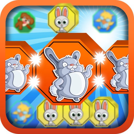 Pet Frenzy Pro: Puzzle Match 3 Game for all ages Icon