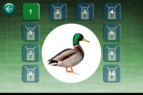 Find Animal Universal FREE Game screenshot 3