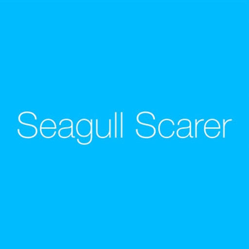 Seagull Scarer by Tom Perry Seagull Scarer by Tom Perry